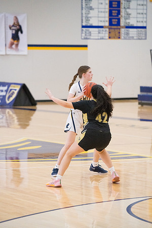 TCP_7339_012425