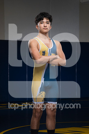 TCP_2014_33