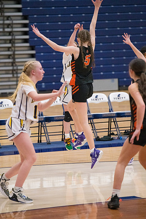 TCP_3679_021825
