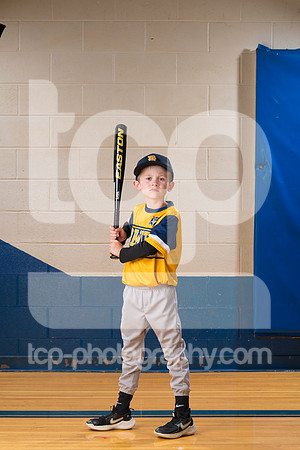 TCP_3334_120
